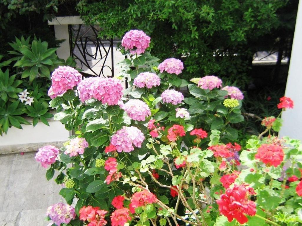 B&B Il Giardino Di Villa Anna トレカーゼ エクステリア 写真