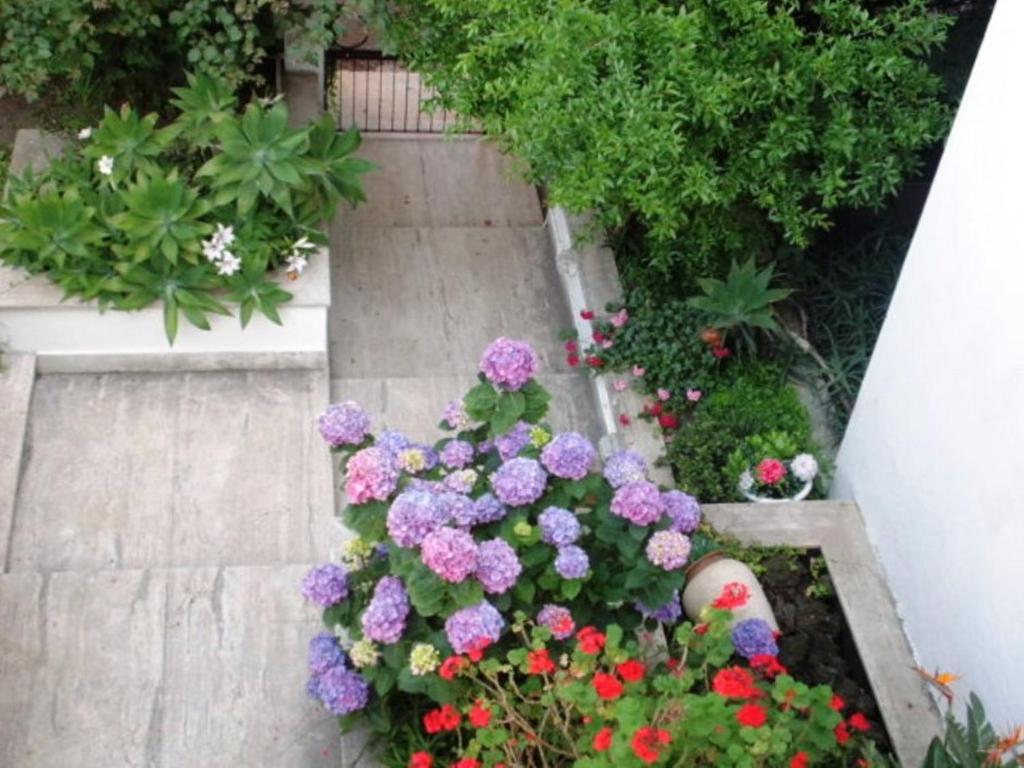 B&B Il Giardino Di Villa Anna トレカーゼ エクステリア 写真
