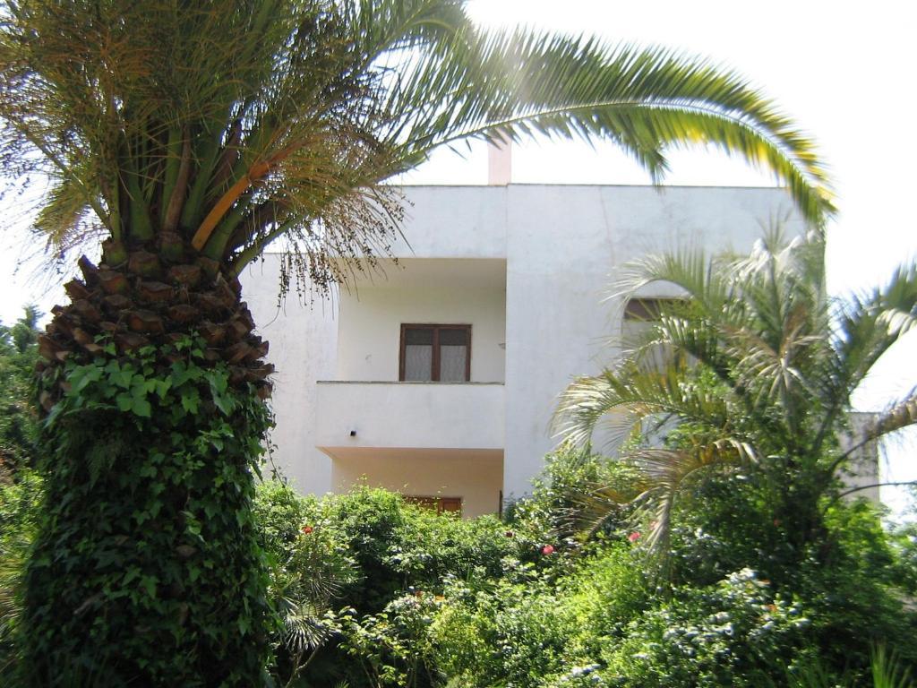 B&B Il Giardino Di Villa Anna トレカーゼ エクステリア 写真