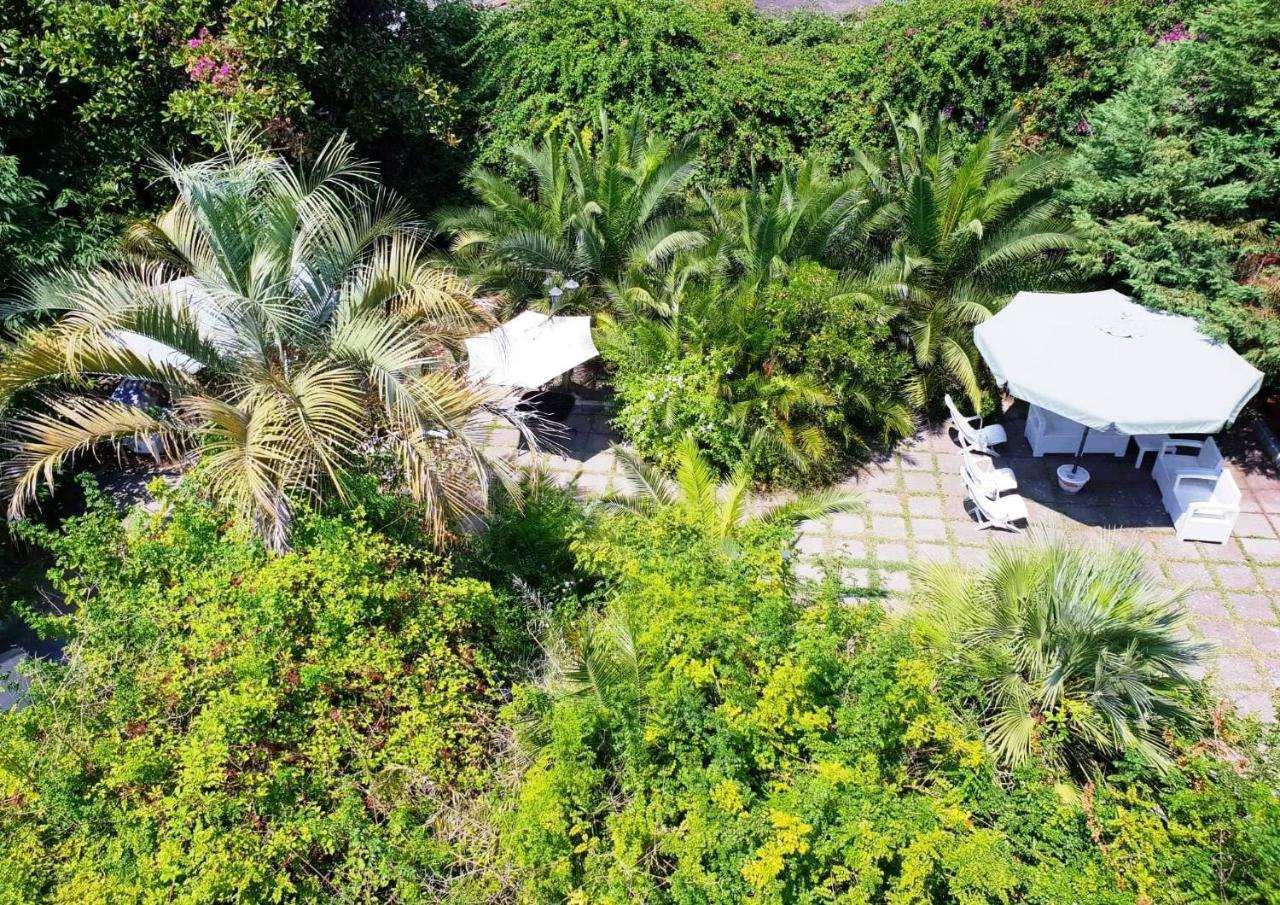 B&B Il Giardino Di Villa Anna トレカーゼ エクステリア 写真