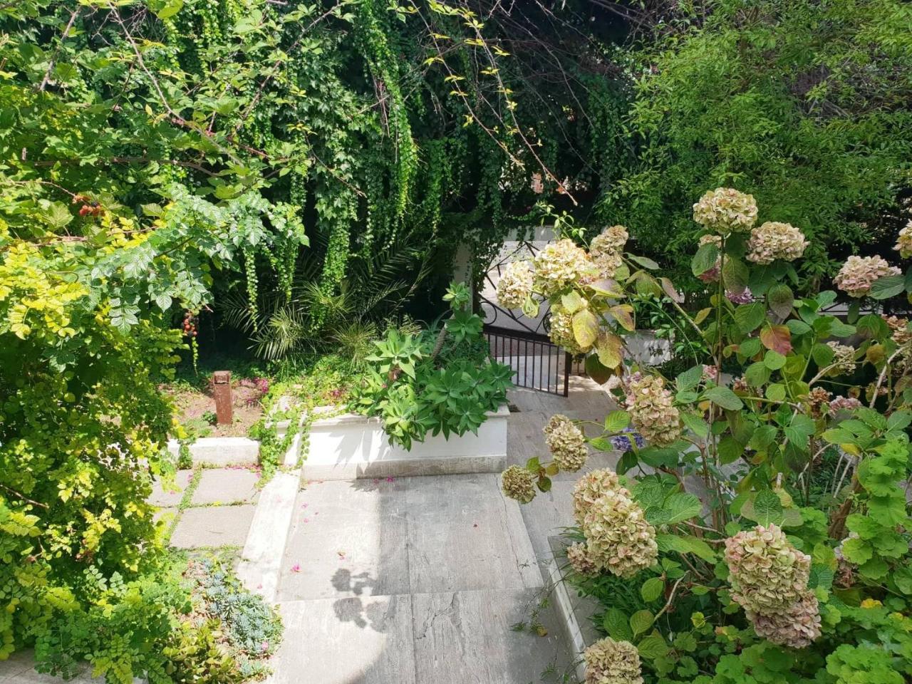 B&B Il Giardino Di Villa Anna トレカーゼ エクステリア 写真