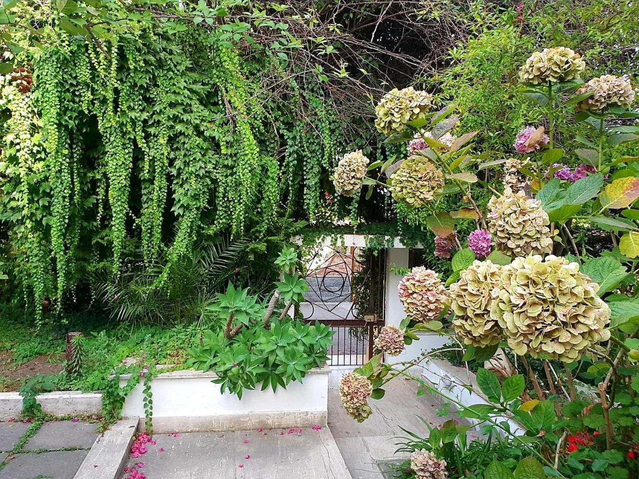 B&B Il Giardino Di Villa Anna トレカーゼ エクステリア 写真