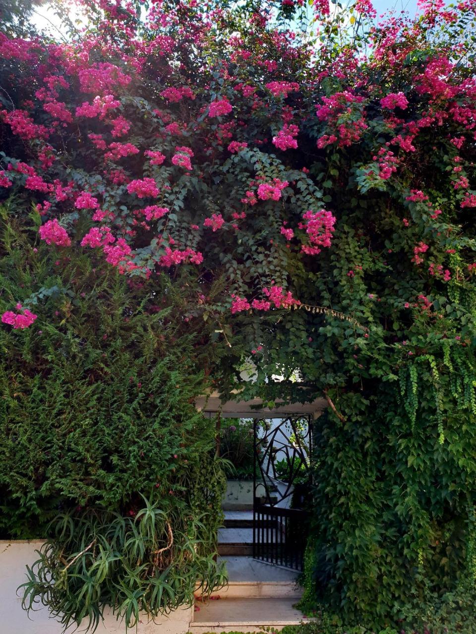 B&B Il Giardino Di Villa Anna トレカーゼ エクステリア 写真
