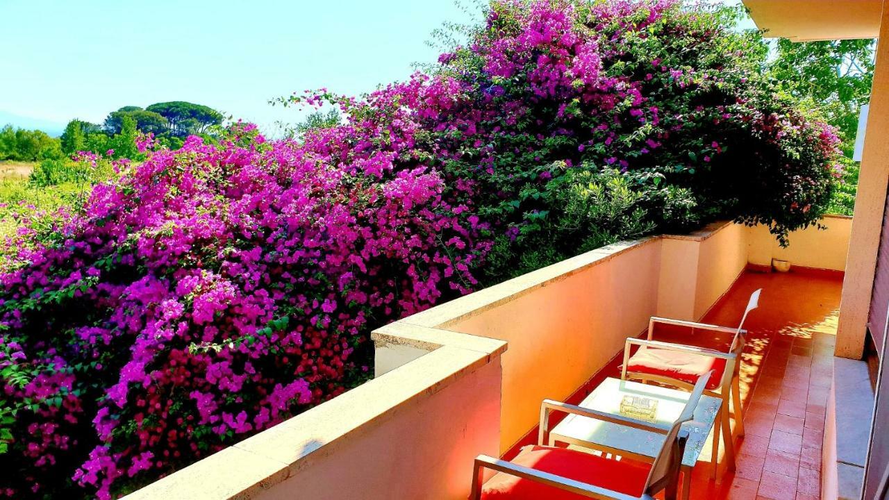 B&B Il Giardino Di Villa Anna トレカーゼ エクステリア 写真