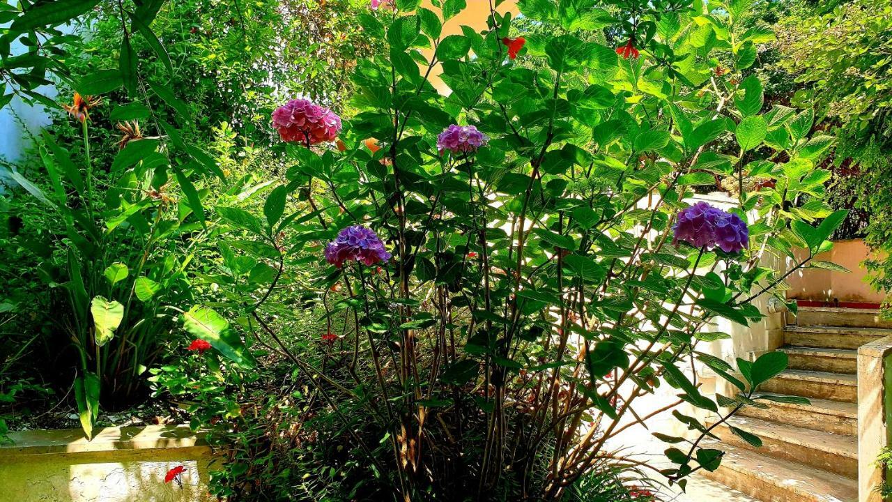 B&B Il Giardino Di Villa Anna トレカーゼ エクステリア 写真
