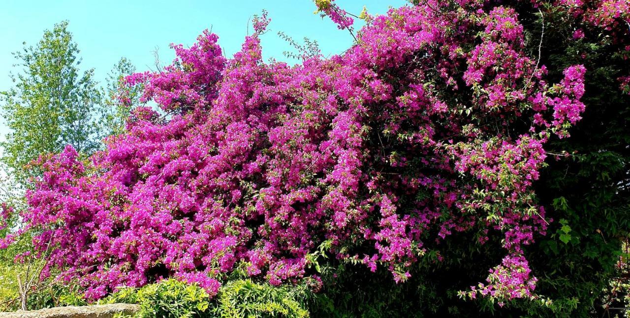 B&B Il Giardino Di Villa Anna トレカーゼ エクステリア 写真